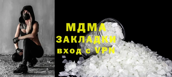 индика Елизово