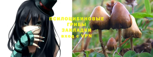 мескалин Заволжск