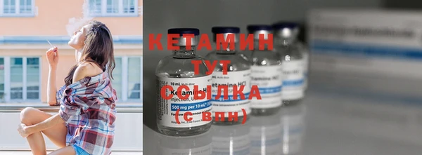 индика Елизово