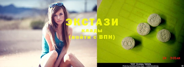 индика Елизово
