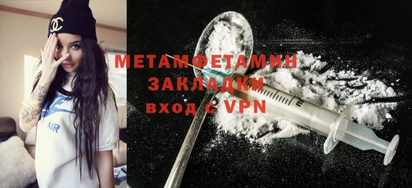 индика Елизово