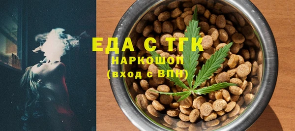 индика Елизово