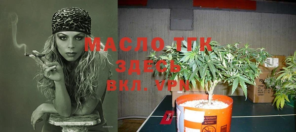 экстази Ельня