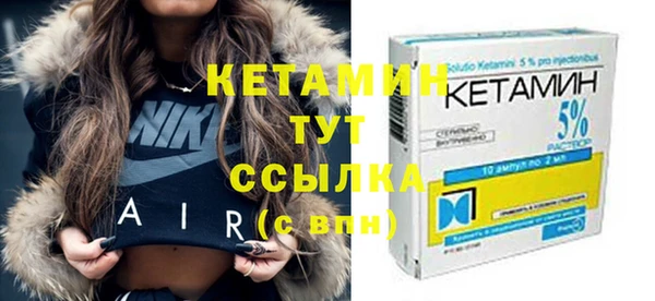 индика Елизово