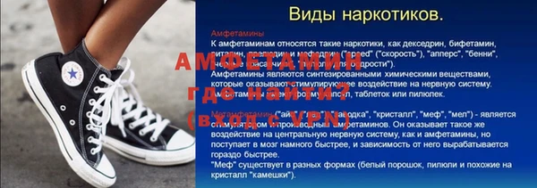 индика Елизово