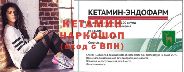 индика Елизово