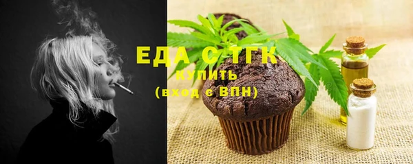 индика Елизово